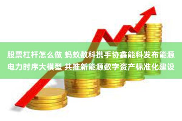 股票杠杆怎么做 蚂蚁数科携手协鑫能科发布能源电力时序大模型 共推新能源数字资产标准化建设