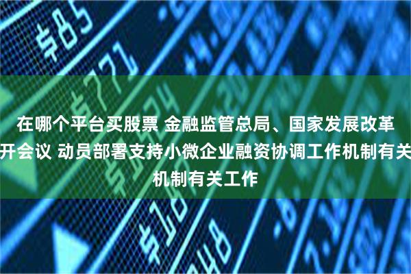 在哪个平台买股票 金融监管总局、国家发展改革委召开会议 动员部署支持小微企业融资协调工作机制有关工作