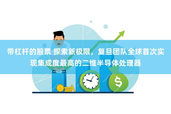 带杠杆的股票 探索新极限，复旦团队全球首次实现集成度最高的二维半导体处理器