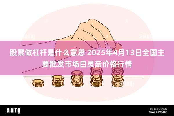 股票做杠杆是什么意思 2025年4月13日全国主要批发市场白灵菇价格行情