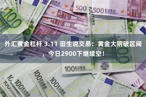 外汇黄金杠杆 3.11 田生说交易：黄金大阴破区间，今日2900下继续空！
