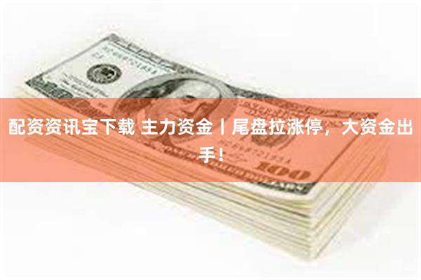 配资资讯宝下载 主力资金丨尾盘拉涨停，大资金出手！